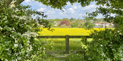 London’s green belt comes under review