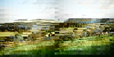 Whitehaven Masterplan