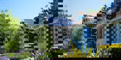 Consumer Advice and Information (CAI) Programme Evaluation